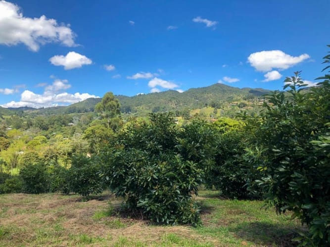 Lote en venta en Llano Grande, Rionegro · foto 6 de 12