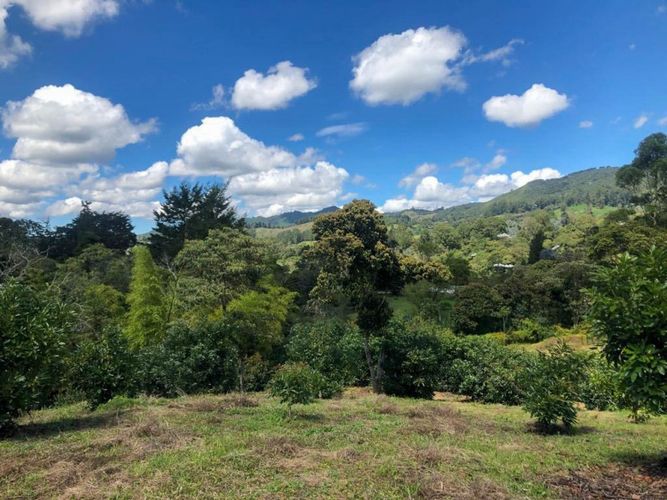 Lote en venta en Llano Grande, Rionegro · foto 7 de 12