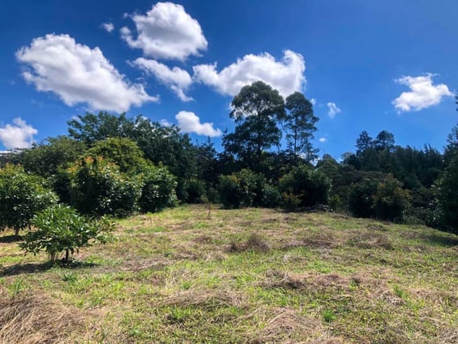 Lote en venta en Llano Grande, Rionegro · foto 8 de 12