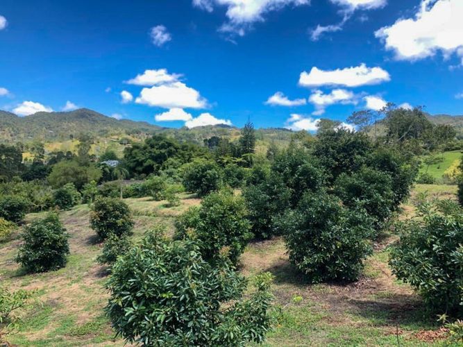 Lote en venta en Llano Grande, Rionegro · foto 10 de 12