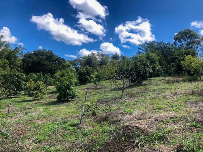 Lote en venta en Llano Grande, Rionegro · foto 11 de 12