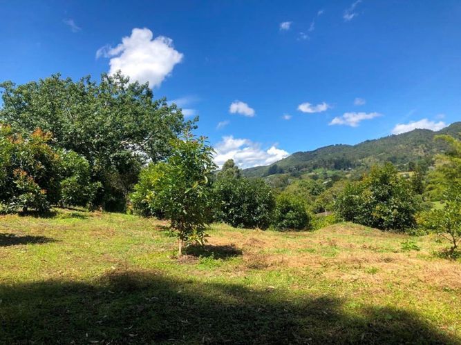 Lote en venta en Llano Grande, Rionegro · foto 12 de 12