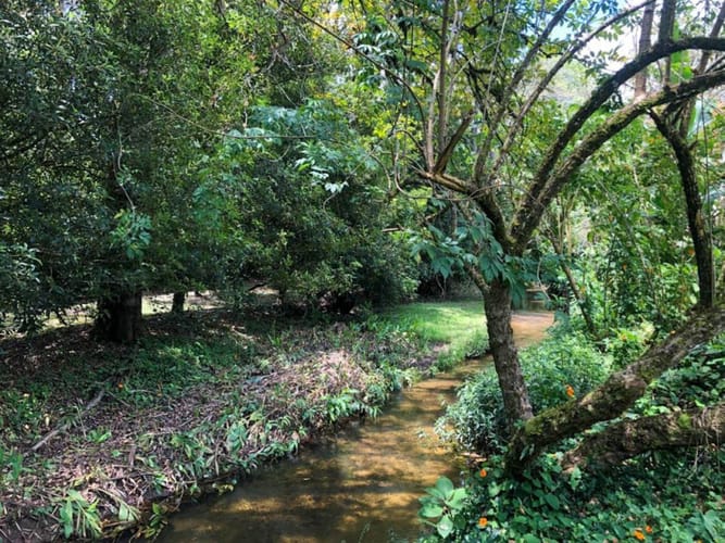 Lote en venta en Pantanillo, El Retiro · foto 5 de 8