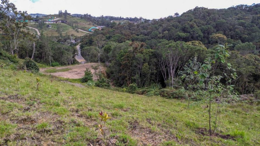 Lote en venta en Pantanillo, El Retiro · foto 4 de 14