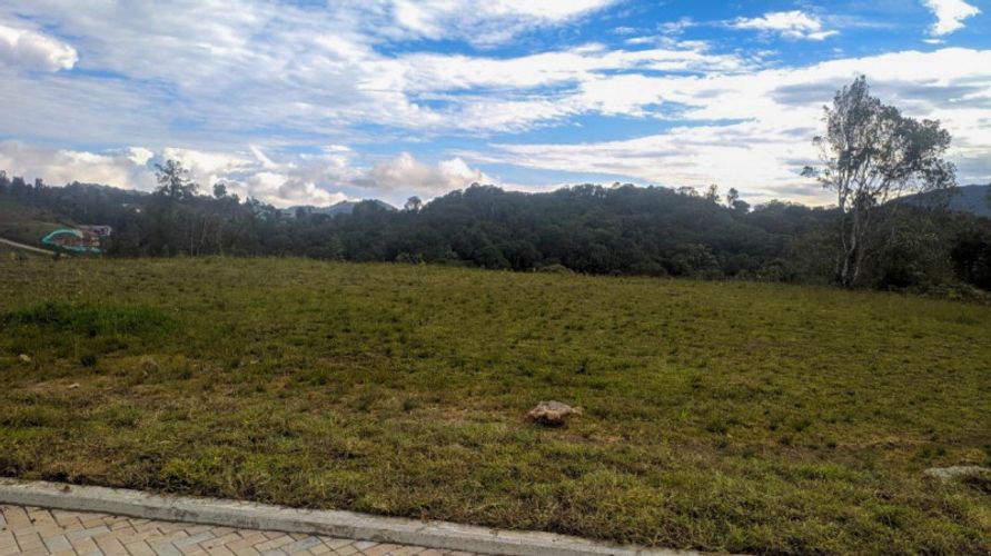 Lote en venta en Pantanillo, El Retiro · foto 5 de 14