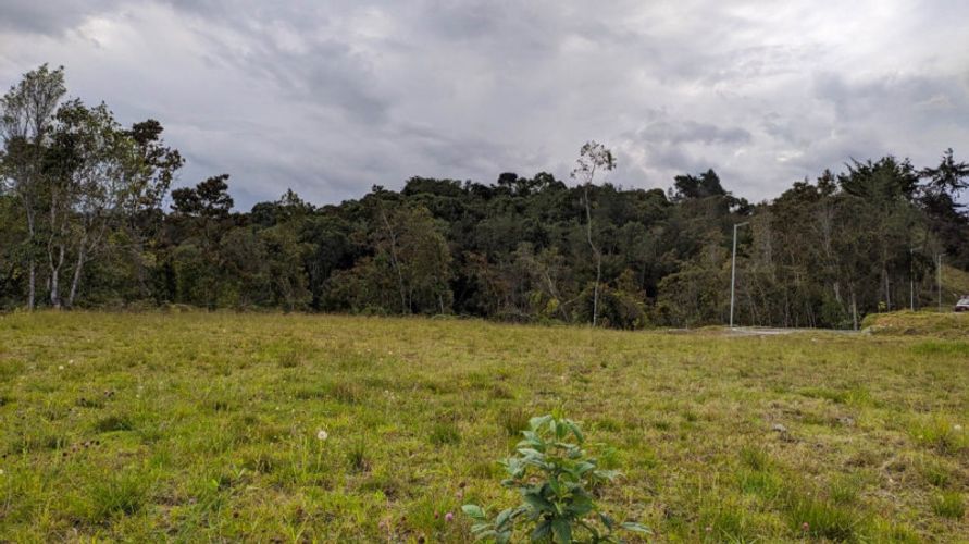 Lote en venta en Pantanillo, El Retiro · foto 8 de 14