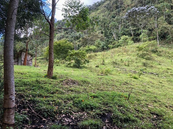 Lote en venta en El Porvenir, Rionegro · foto 2 de 10