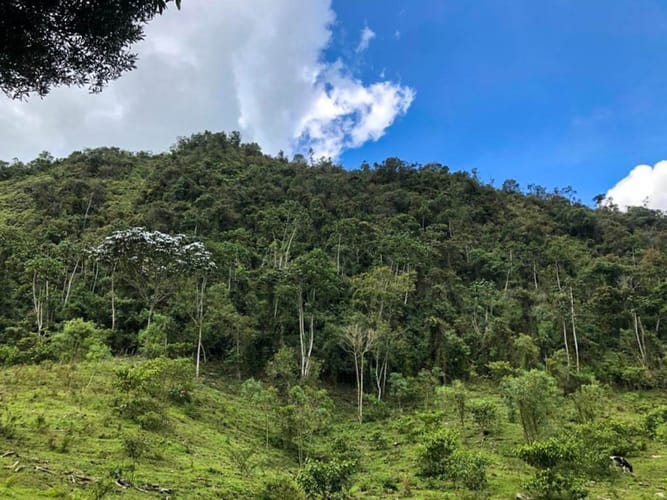 Lote en venta en El Porvenir, Rionegro · foto 3 de 10