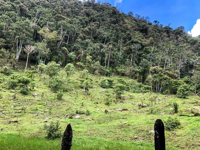 Lote en venta en El Porvenir, Rionegro · foto 4 de 10