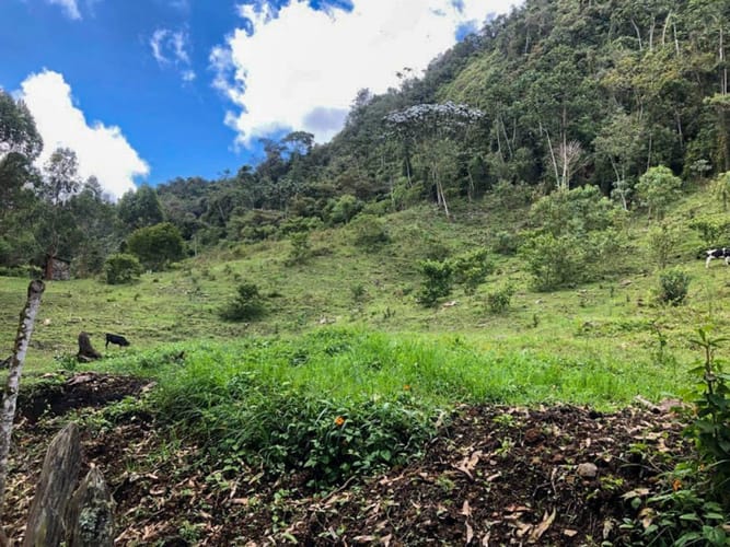 Lote en venta en El Porvenir, Rionegro · foto 5 de 10