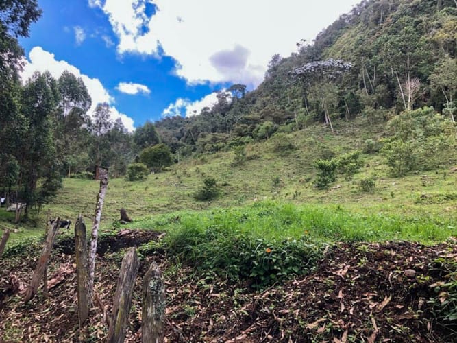 Lote en venta en El Porvenir, Rionegro · foto 6 de 10