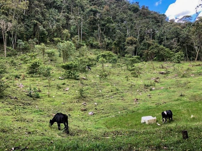 Lote en venta en El Porvenir, Rionegro · foto 9 de 10