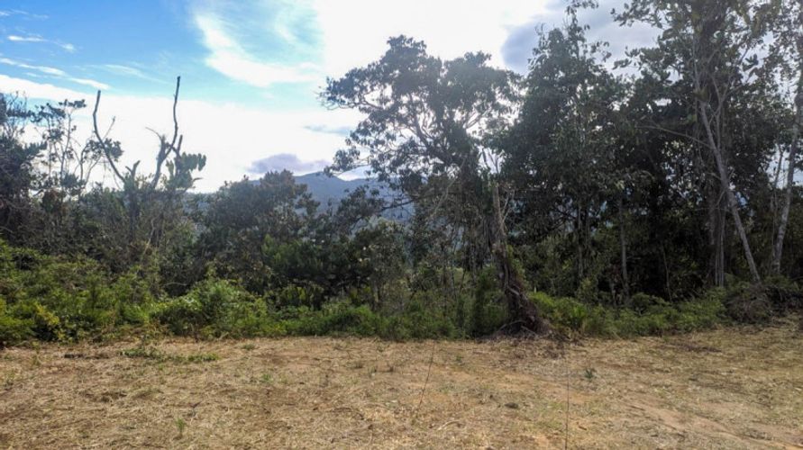 Lote en venta en Pantanillo, El Retiro · foto 4 de 9