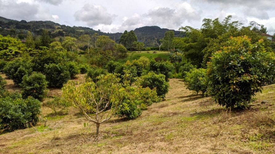 Lote en venta en El Porvenir, Rionegro · foto 2 de 11