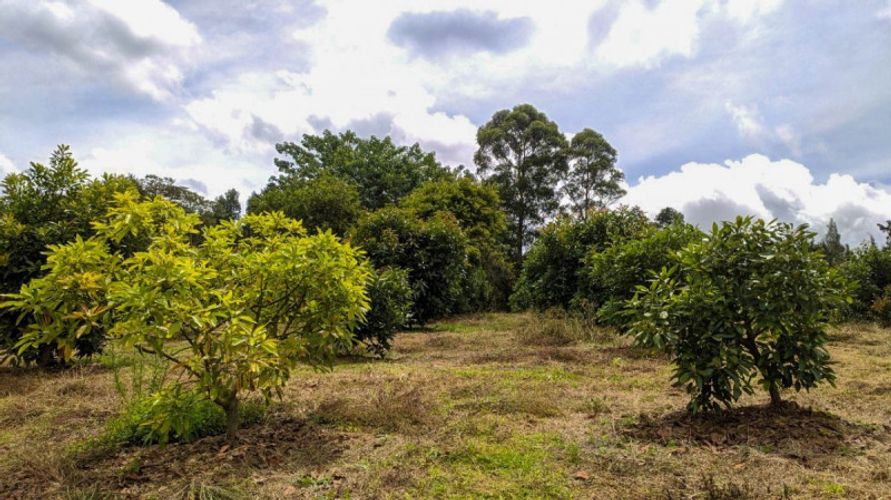 Lote en venta en El Porvenir, Rionegro · foto 3 de 11