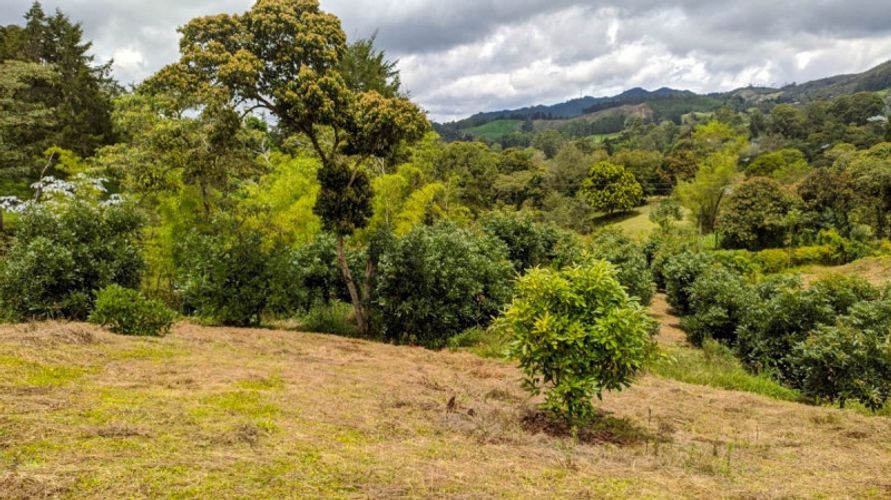 Lote en venta en El Porvenir, Rionegro · foto 4 de 11