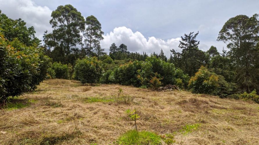 Lote en venta en El Porvenir, Rionegro · foto 5 de 11
