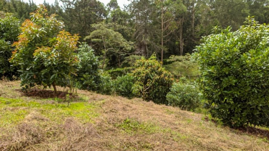 Lote en venta en El Porvenir, Rionegro · foto 6 de 11