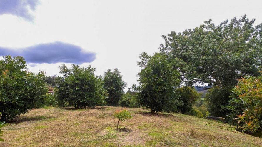 Lote en venta en El Porvenir, Rionegro · foto 8 de 11