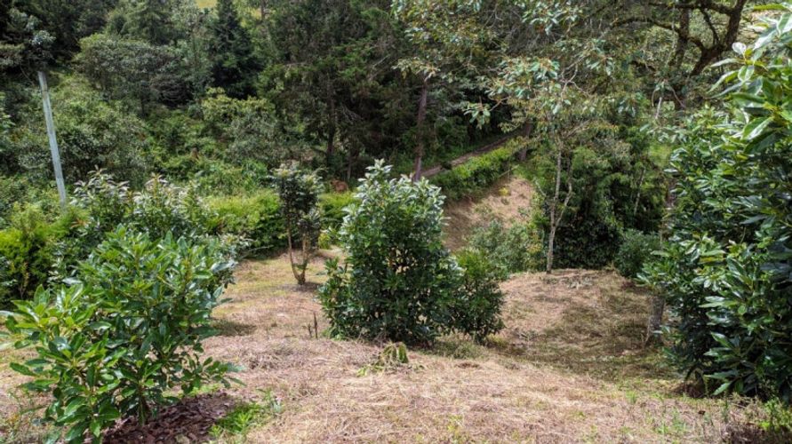 Lote en venta en El Porvenir, Rionegro · foto 9 de 11