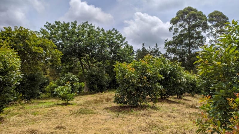 Lote en venta en El Porvenir, Rionegro · foto 11 de 11