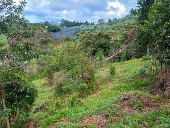 Lote en venta en Guarne · foto 2 de 16