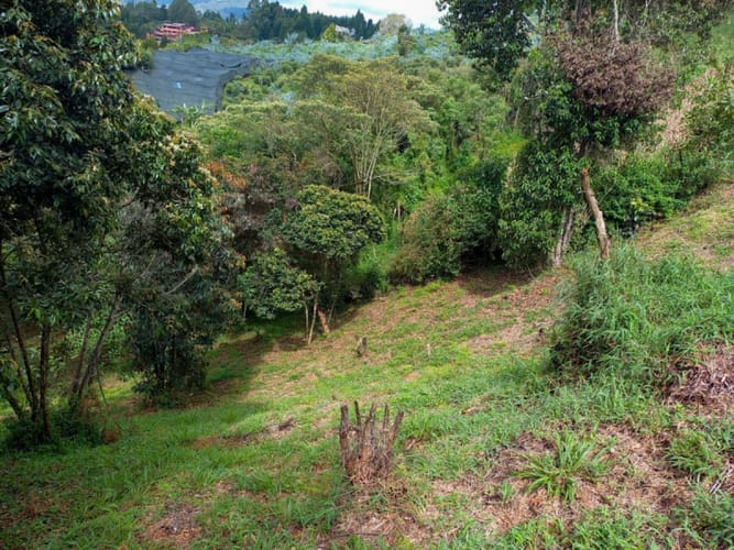 Lote en venta en Guarne · foto 3 de 16