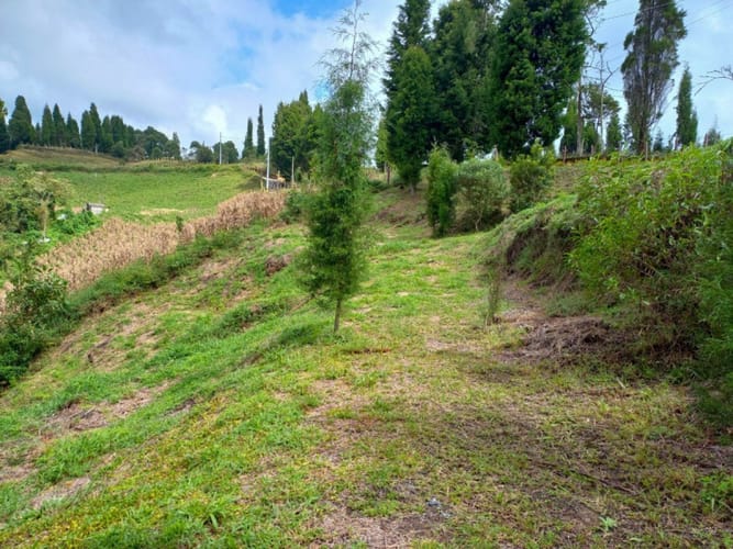 Lote en venta en Guarne · foto 4 de 16