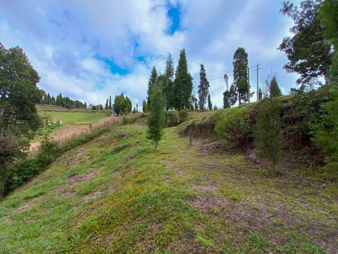 Lote en venta en Guarne · foto 5 de 16