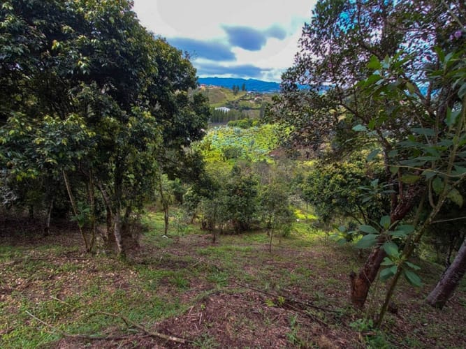 Lote en venta en Guarne · foto 6 de 16