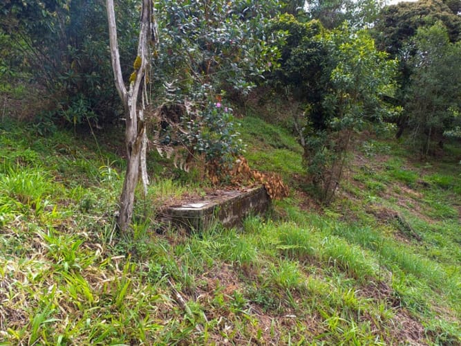 Lote en venta en Guarne · foto 10 de 16