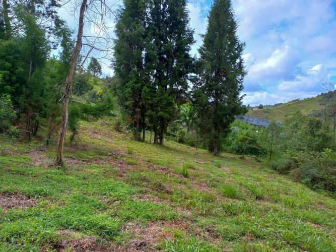Lote en venta en Guarne · foto 11 de 16