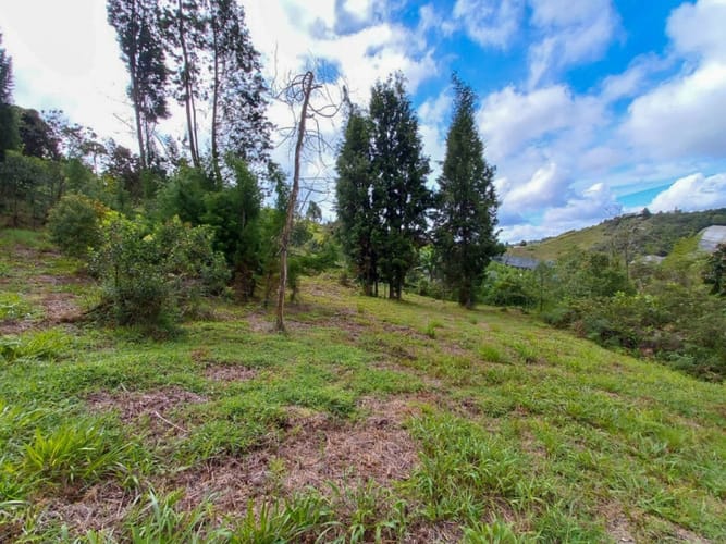 Lote en venta en Guarne · foto 12 de 16
