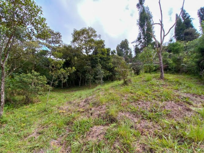 Lote en venta en Guarne · foto 13 de 16