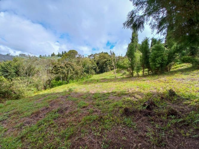 Lote en venta en Guarne · foto 14 de 16