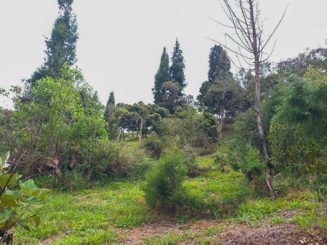 Lote en venta en Guarne · foto 15 de 16