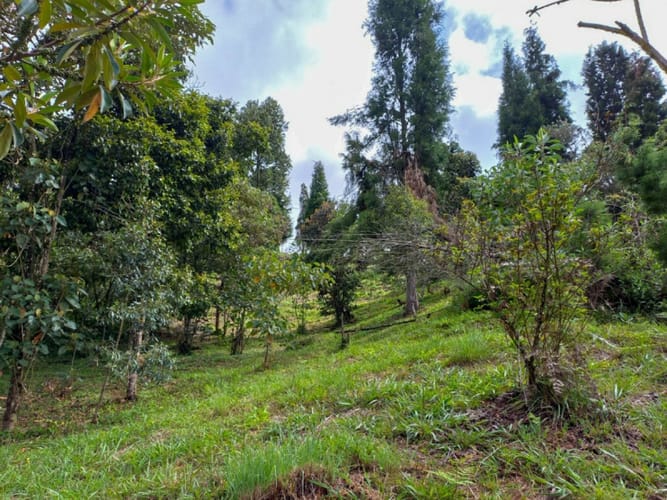 Lote en venta en Guarne · foto 16 de 16