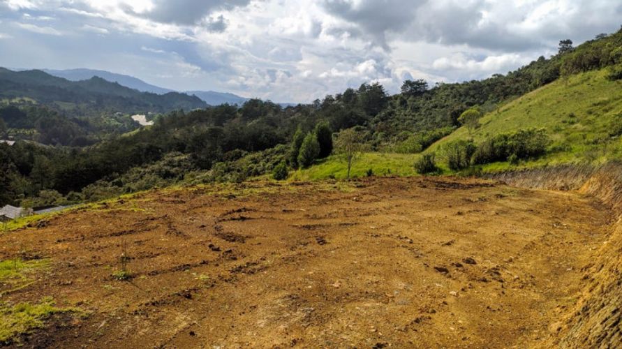 Lote en venta en Fatima, La Ceja · foto 2 de 8