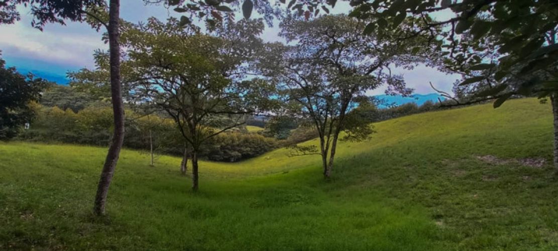 Lote en venta en Fatima, La Ceja · foto 5 de 10