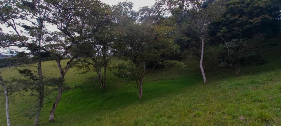 Lote en venta en Fatima, La Ceja · foto 7 de 10