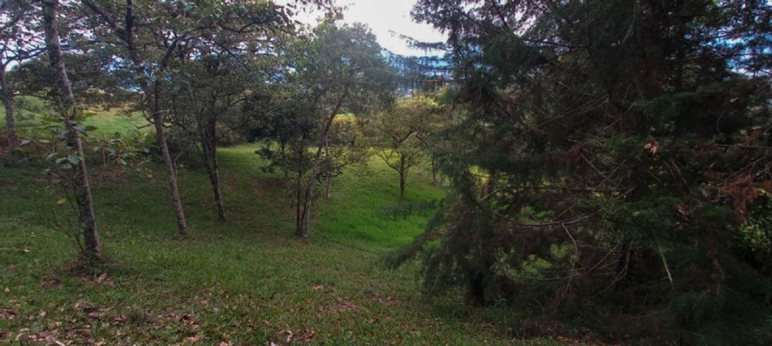 Lote en venta en Fatima, La Ceja · foto 8 de 10