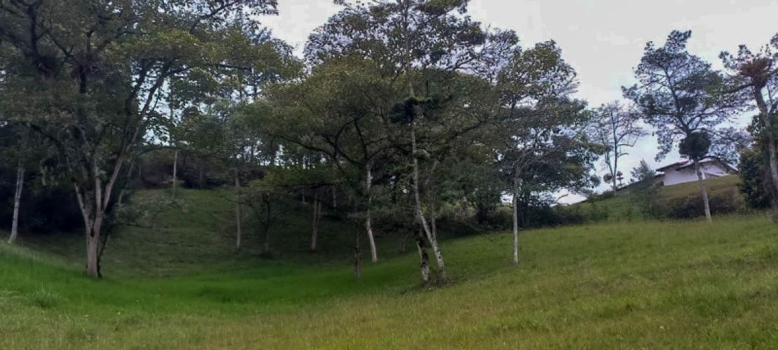 Lote en venta en Fatima, La Ceja · foto 9 de 10