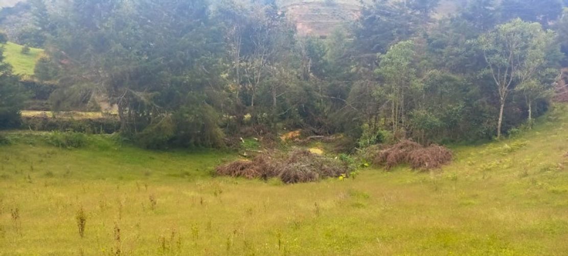 Lote en venta en Pantanillo, El Retiro · foto 2 de 14