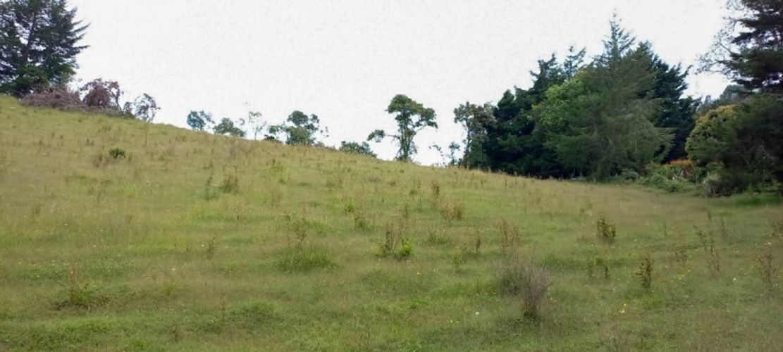 Lote en venta en Pantanillo, El Retiro · foto 3 de 14