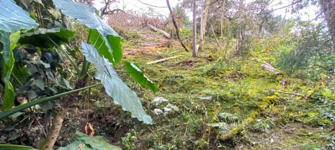 Lote en venta en Pantanillo, El Retiro · foto 6 de 14