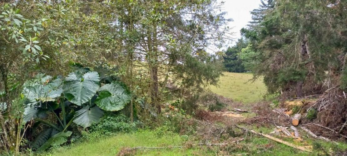 Lote en venta en Pantanillo, El Retiro · foto 7 de 14