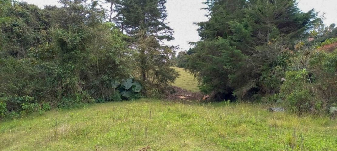 Lote en venta en Pantanillo, El Retiro · foto 8 de 14