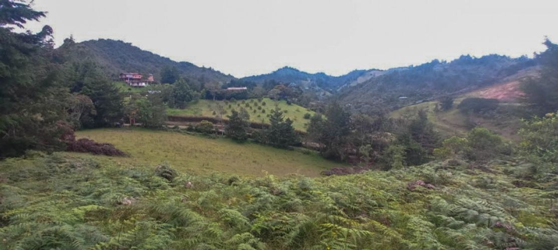 Lote en venta en Pantanillo, El Retiro · foto 9 de 14