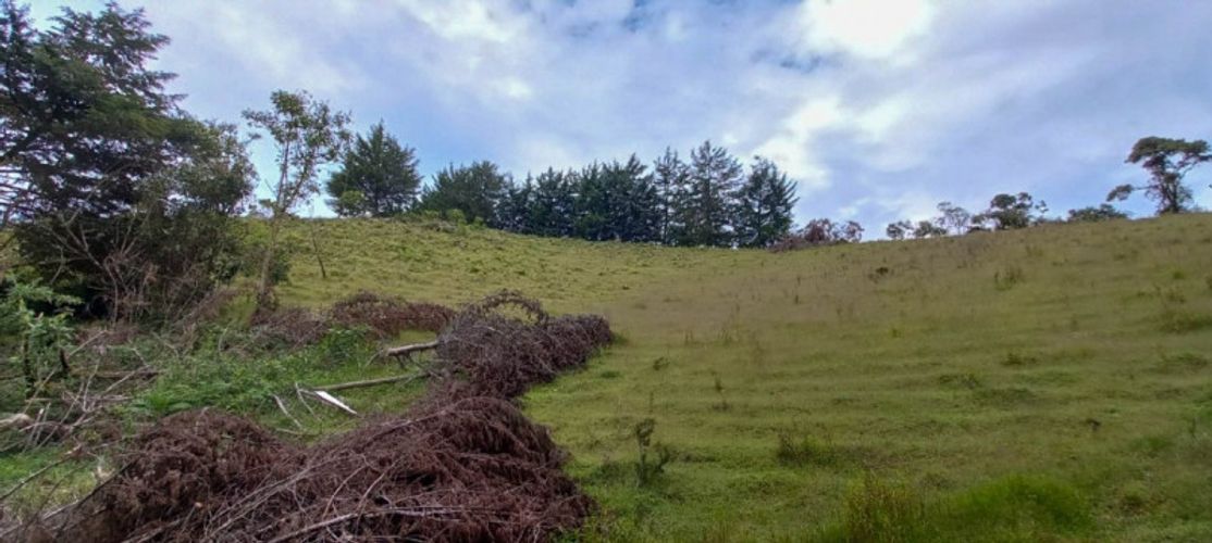 Lote en venta en Pantanillo, El Retiro · foto 10 de 14