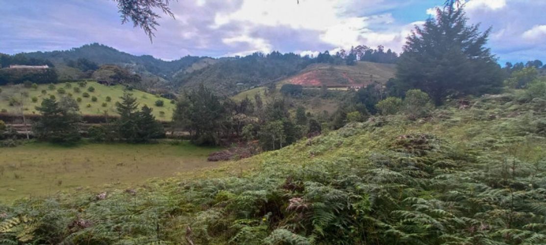 Lote en venta en Pantanillo, El Retiro · foto 11 de 14